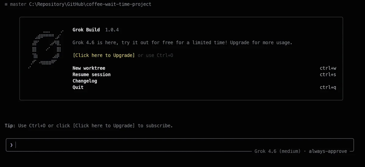 Grok Build interactive terminal interface on launch