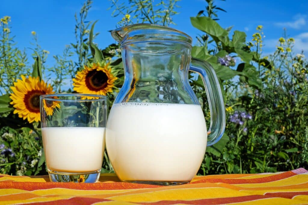 Productos lácteos y derivados no pasteurizados