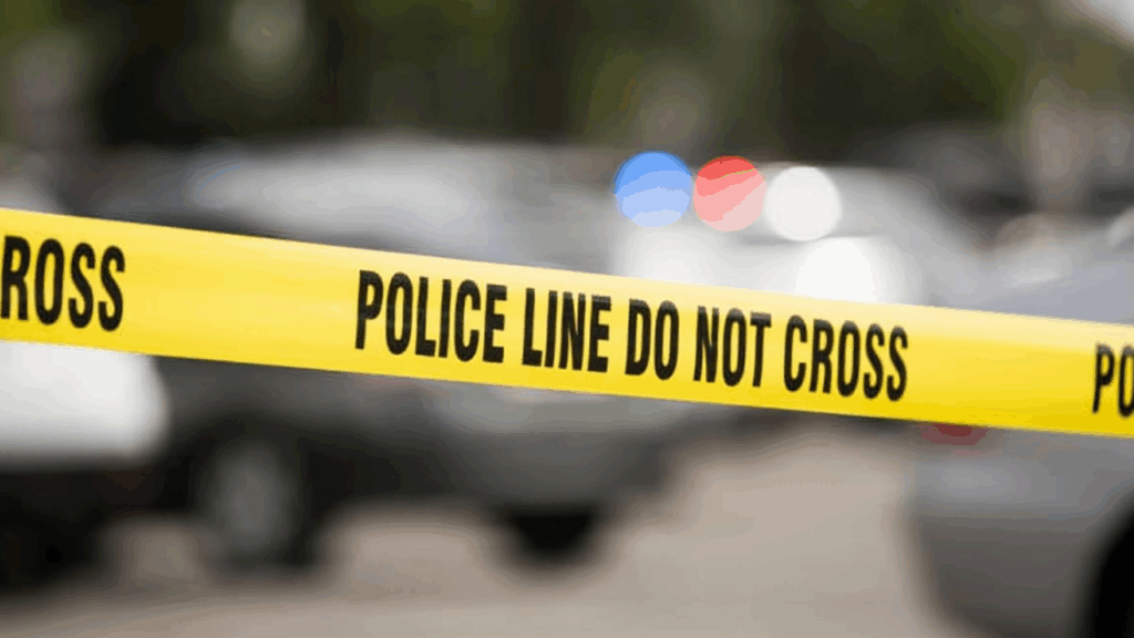 Conductor fue detenido tras incidente vial con dos pérdidas en el Bronx