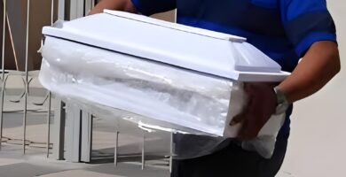 Hallan criatura en formación en Navarrete