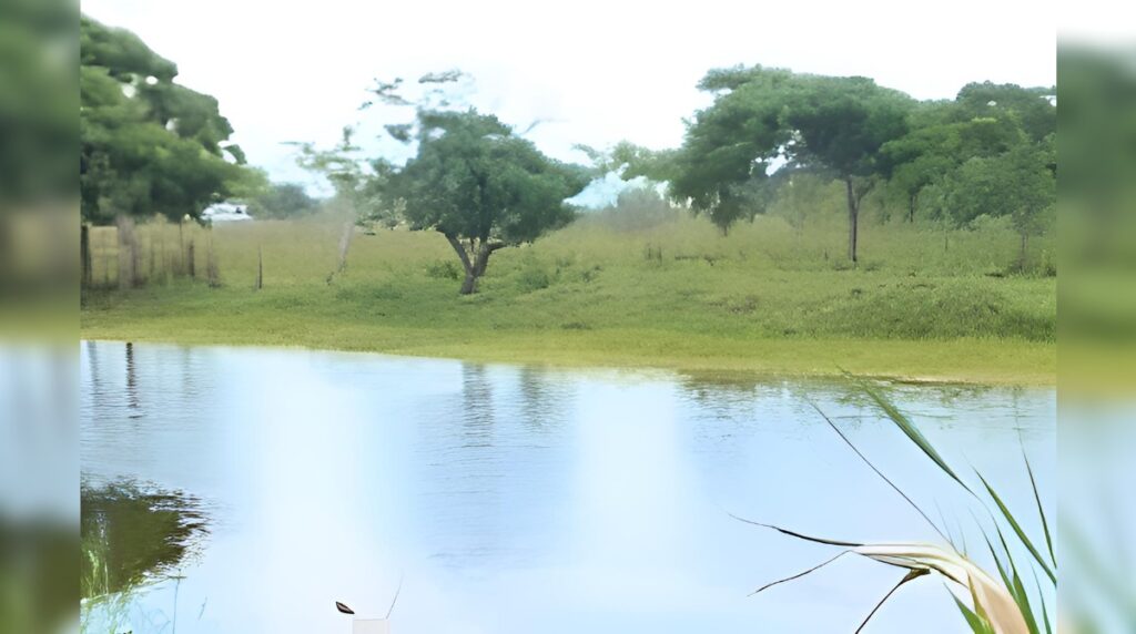 Encuentran persona sin existencia en afluente del sector Peña Gómez en Nagua