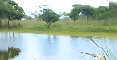 Encuentran persona sin existencia en afluente del sector Peña Gómez en Nagua