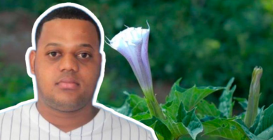 Capturan sospechoso de usar sustancias para despojar ciudadanos en Navarrete