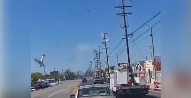 Avioneta cae tras impactar cables en California