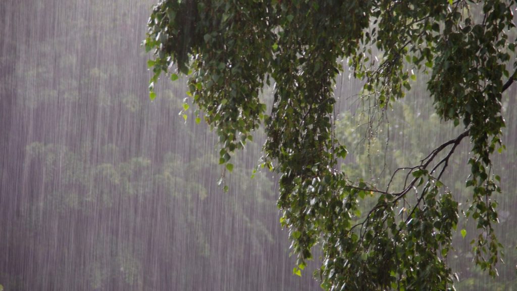 Remanentes nubosos dejarán fuertes lluvias en varias provincias de RD