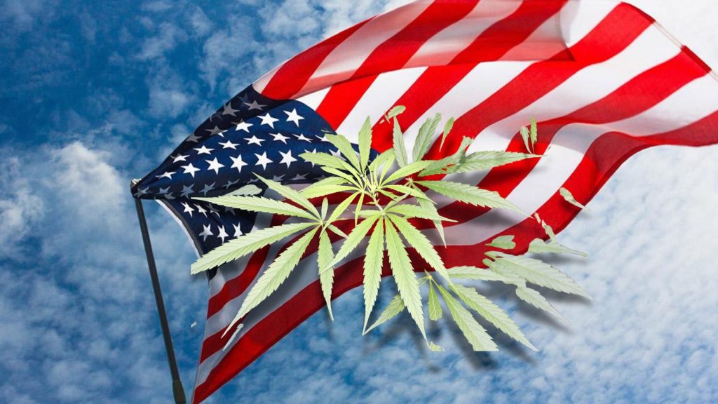 Gobierno de Donald Trump anuncia la reclasificación de la marihuana a una categoría menos restrictiva para uso médico