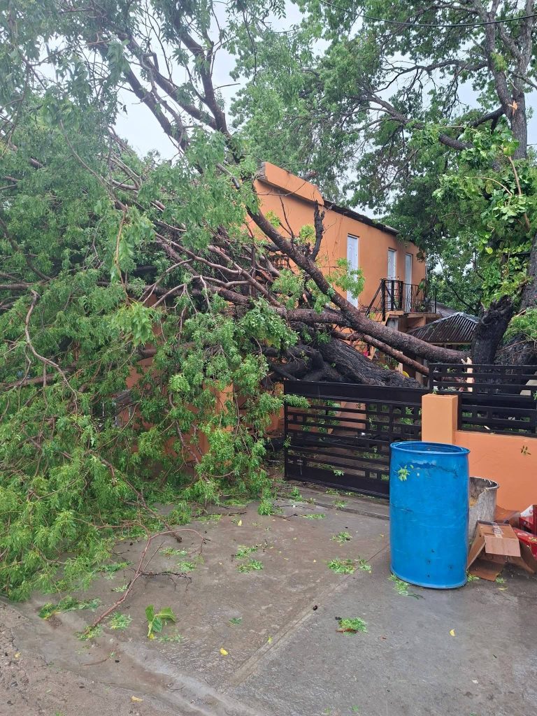 Tormentas y ventarrones provocan caos en comunidades del Cibao