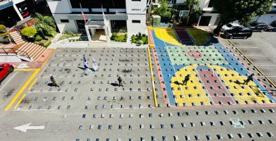 VIDEO: Incautan 1,163 paquetes de presunta marihuana sintética en Puerto Plata
