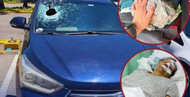 Abuela de 79 años resulta herida tras ataque con piedra contra vehículo en San Isidro