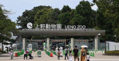 Investigan a un hombre por supuestamente incinerar el cuerpo de su mujer en un zoológico japonés