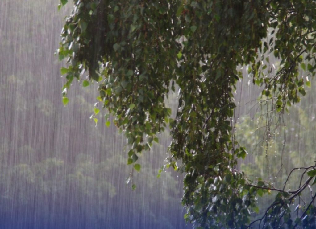 Aguaceros aislados hacia el interior del país la tarde de este sábado