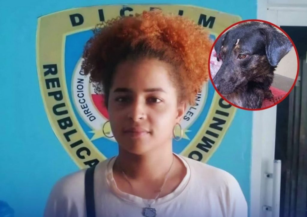 Un año de prisión a mujer que lanzó agua caliente y golpeó a una perra en Villa Juana