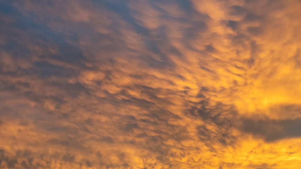 Ambiente caluroso con un cielo mayormente soleado y chubascos aislados en la tarde