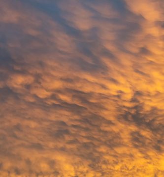 Ambiente caluroso con un cielo mayormente soleado y chubascos aislados en la tarde