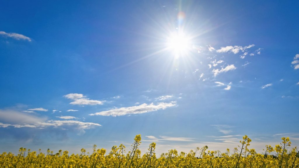 Cielo soleado, poco nuboso con escasas lluvias para este miércoles
