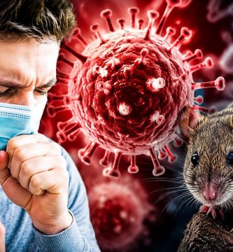 ¿Debe preocuparse República Dominicana por el hantavirus tras presunto brote en un crucero internacional?