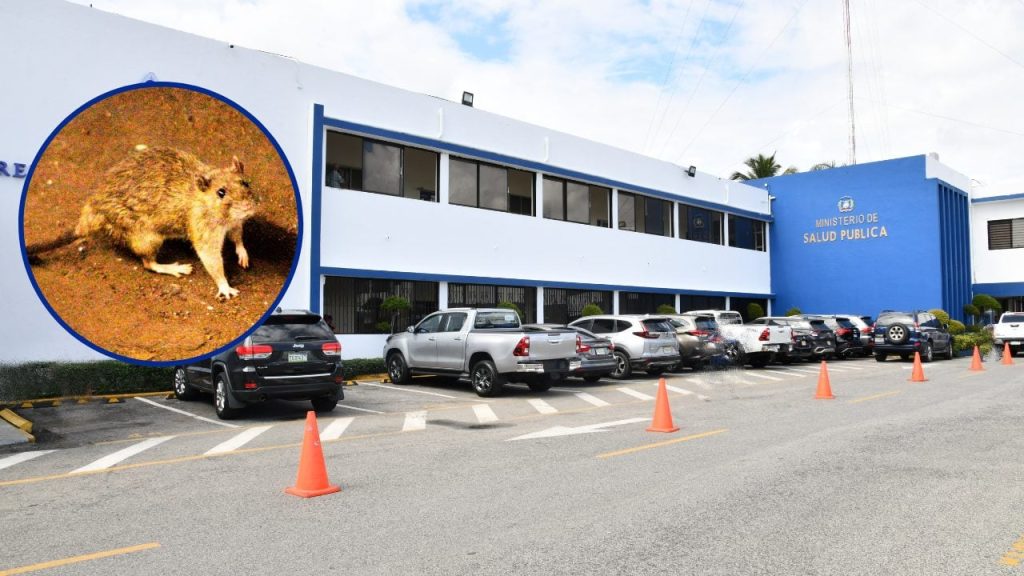 Ministerio de Salud informa que no hay evidencia de circulación de hantavirus en el país
