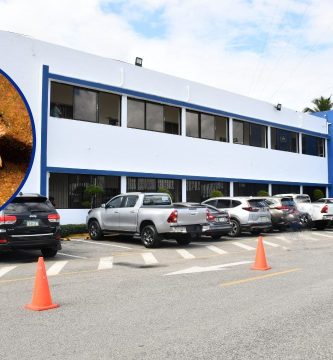 Ministerio de Salud informa que no hay evidencia de circulación de hantavirus en el país