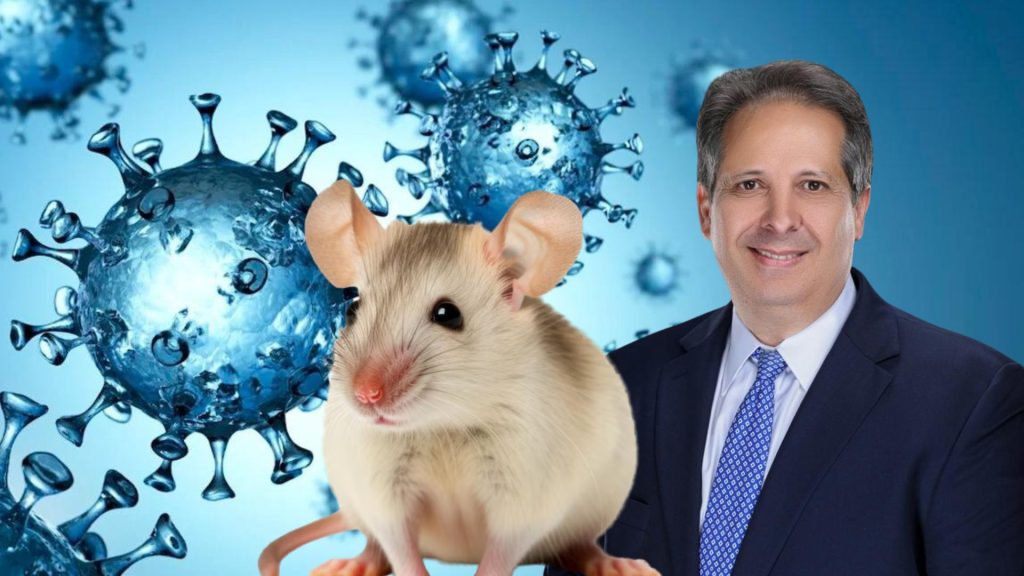 Autoridades descartan alarma en el país ante casos de hantavirus bajo vigilancia