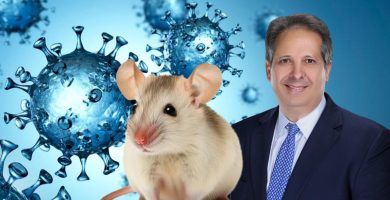 Autoridades descartan alarma en el país ante casos de hantavirus bajo vigilancia