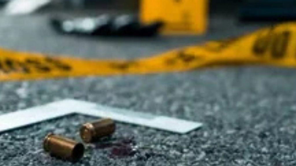 Dejan cadáver de hombre abandonado con un disparo en carretera Don Pedro, Santiago