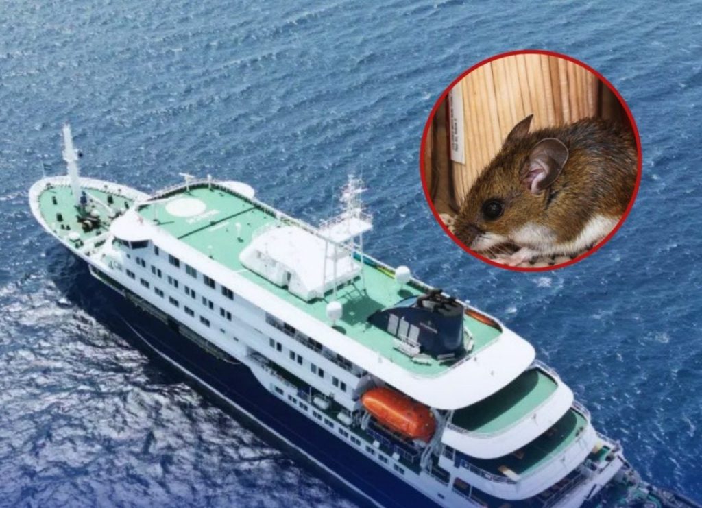 Cronología del hantavirus, urgencia epidemiológica con tres muertos y seis afectados