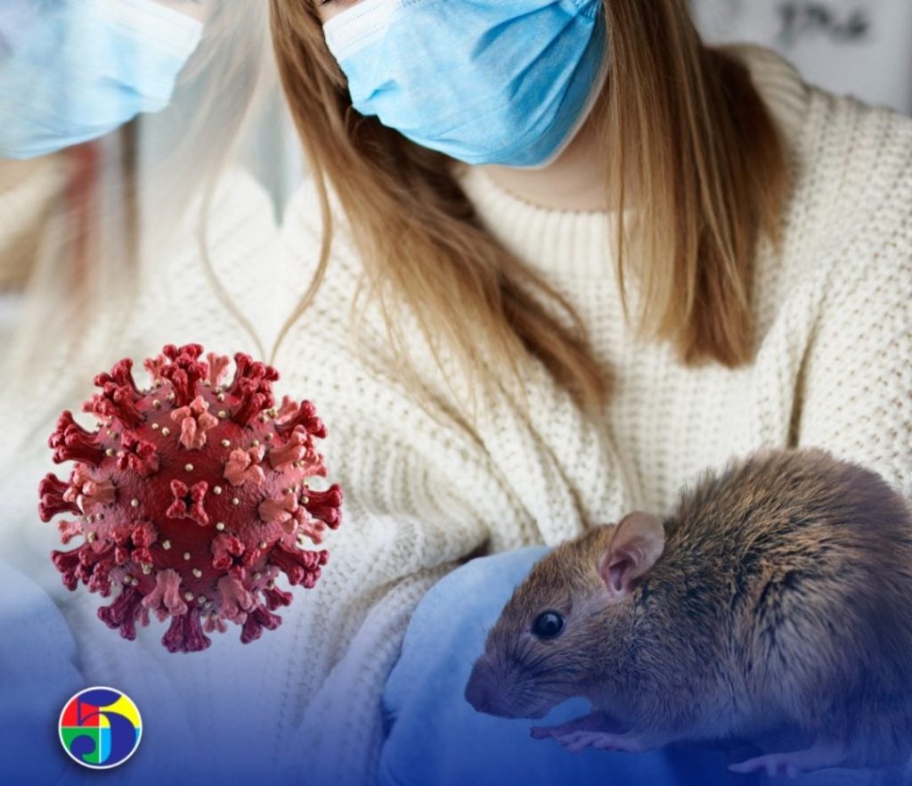 Nueva Jersey vigila a dos residentes por posible exposición al hantavirus