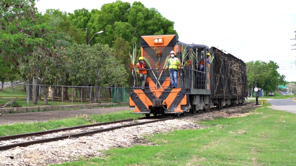 Rescatan a hombre que se acostó sobre rieles del tren en La Romana