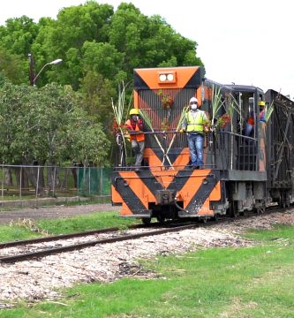 Rescatan a hombre que se acostó sobre rieles del tren en La Romana