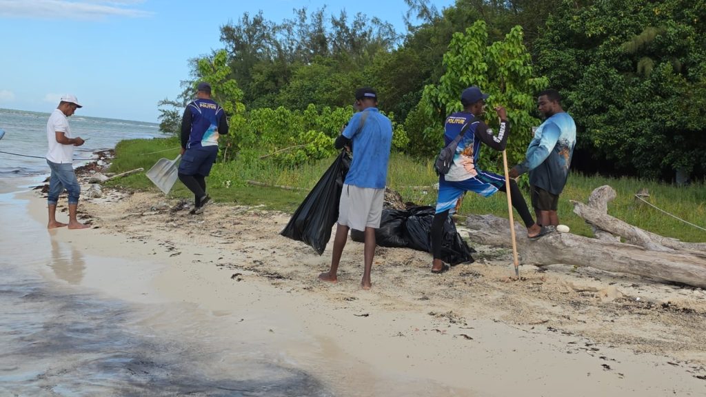 Brigada de Politur limpia Isla Los Pinos en Boca Chica