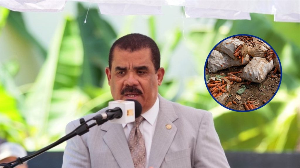 Denuncian productores estarían destruyendo cosechas por alegadas pérdidas