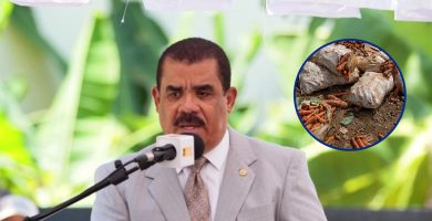 Denuncian productores estarían destruyendo cosechas por alegadas pérdidas