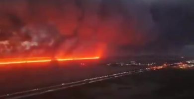 Incendios forestales causan estragos en el Sur de Florida