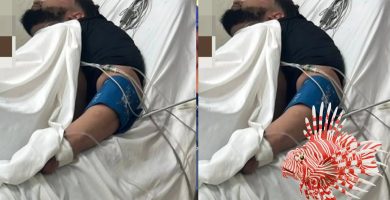 Joven es ingresado tras picadura de pez león durante rescate en Montecristi