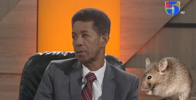 VIDEO: Epidemiólogo aclara sobre la transmisión del hantavirus; no circula en seres humanos sino en ratas
