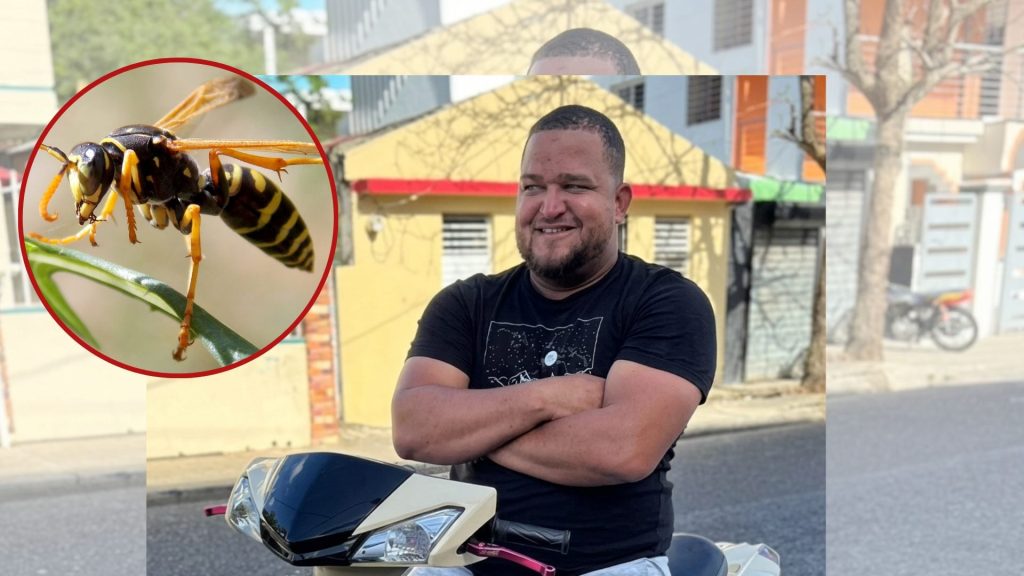 Avispa pica la garganta de un reportero gráfico y lo deja en UCI; sufrió una reacción alérgica