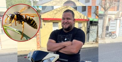 Avispa pica la garganta de un reportero gráfico y lo deja en UCI; sufrió una reacción alérgica