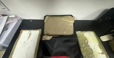 DNCD incauta láminas de cocaína ocultas en carpetas en una compañía de envíos