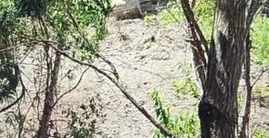 VIDEO: Mineros de Pomier denuncian deforestación por empresa Docalsa pese a prohibición de minería