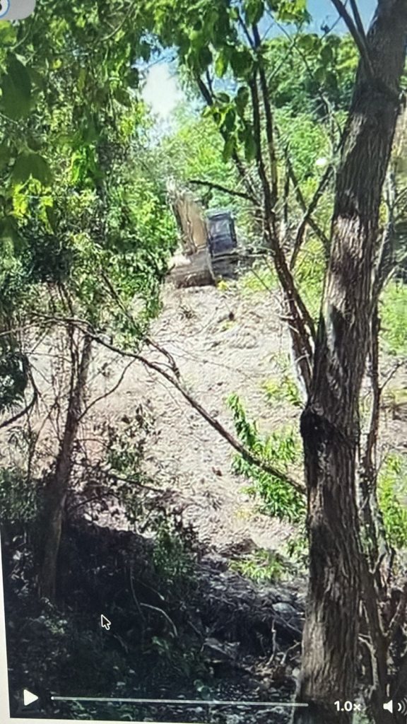 VIDEO: Mineros de Pomier denuncian deforestación por empresa Docalsa pese a prohibición de minería