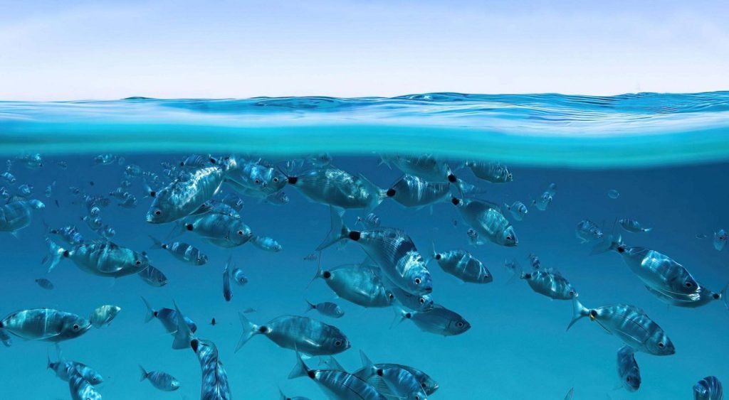 El aumento del nivel del mar se ha duplicado desde 2005