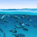 El aumento del nivel del mar se ha duplicado desde 2005