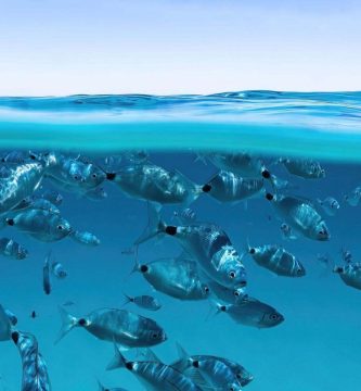 El aumento del nivel del mar se ha duplicado desde 2005