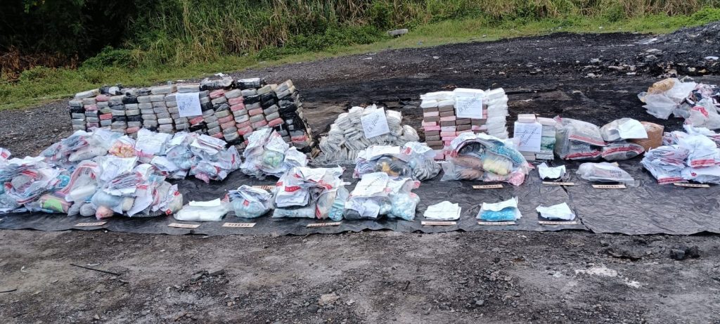 Inacif destruye más de 960 kilogramos de drogas ocupadas en operativos antinarcóticos