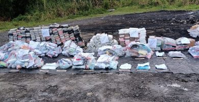 Inacif destruye más de 960 kilogramos de drogas ocupadas en operativos antinarcóticos