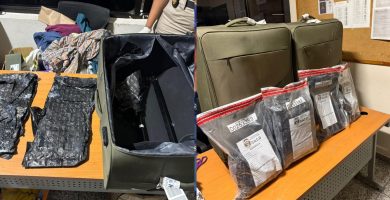 Arrestan estadounidense que intentaba viajar con cocaína en el equipaje