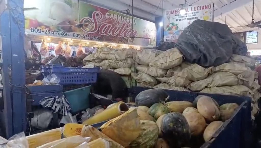 Entre quejas y precios altos, ciudadanos acuden al mercado de la Ciudad Ganadera
