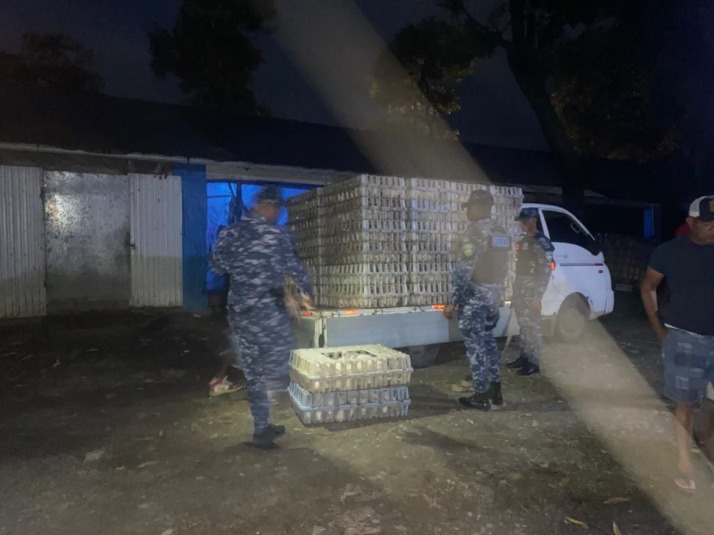 Recuperan más de 600 pollos robados de una granja y detienen cinco personas en La Vega