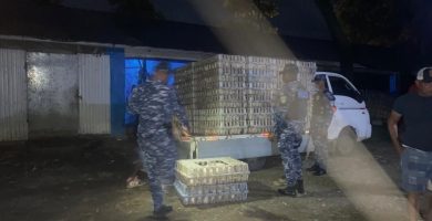 Recuperan más de 600 pollos robados de una granja y detienen cinco personas en La Vega