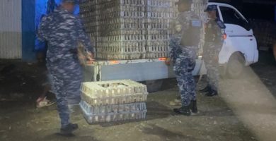 Recuperan más de 600 pollos sustraídos y detiene cinco personas en La Vega